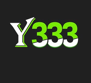Y333 Game