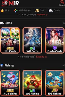M19 App
