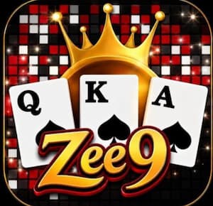ZEE9 Game