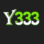 Y333 Game