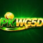 PKWG5D Game