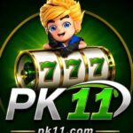 PK11 Game